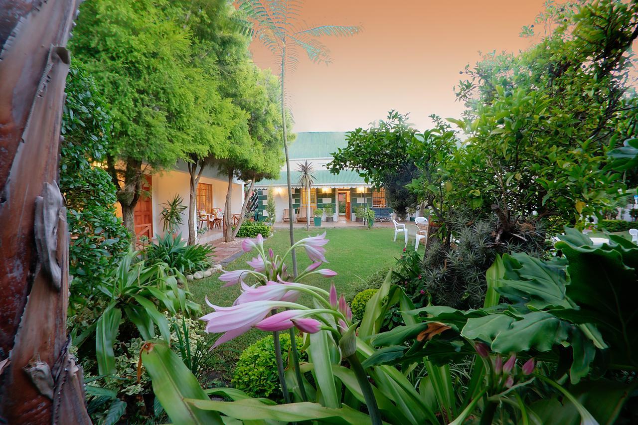 Robertson Boutique Backpackers Otel Dış mekan fotoğraf