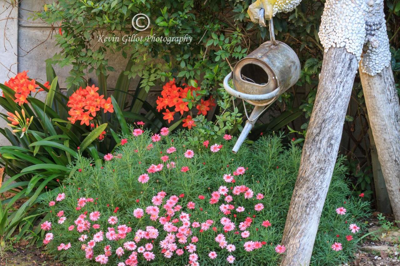 Robertson Boutique Backpackers Otel Dış mekan fotoğraf